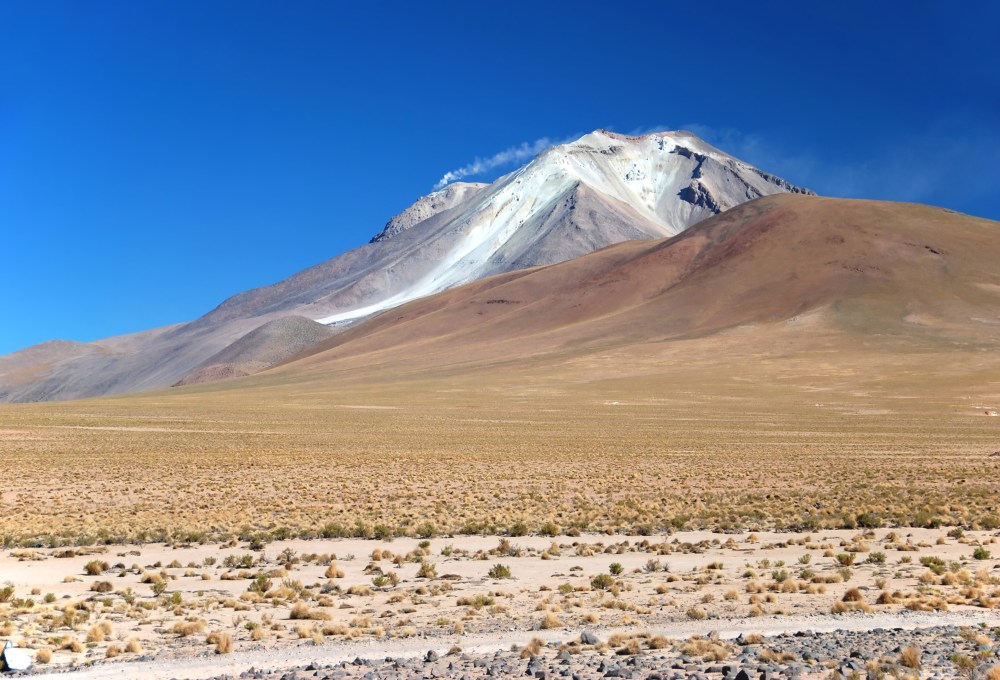 Aktive Vulkane, Flamingo-Lagunen & Hochwüsten